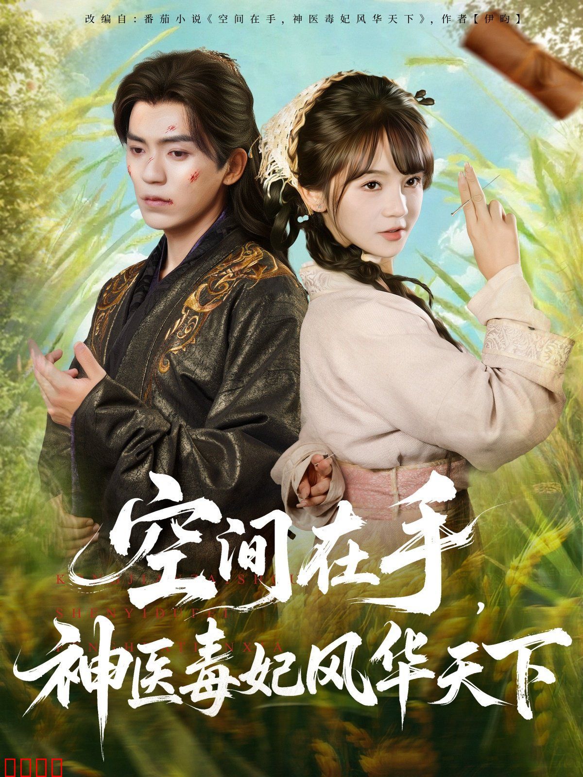 空间在手，神医毒妃风华天下