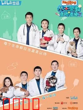 小主安康－宠物医院2