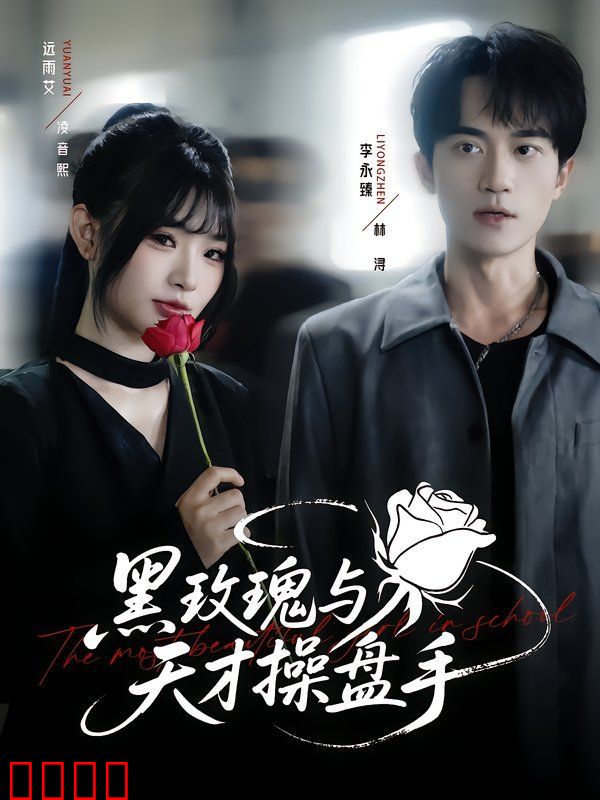 黑玫瑰与天才操盘手