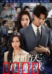 离婚当天世上再无我