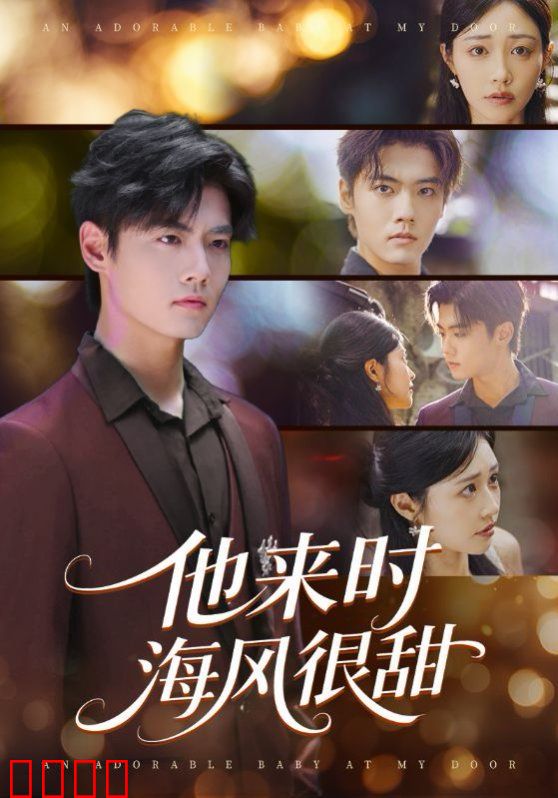 他来时海风很甜
