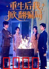 重生后我掀翻骗局