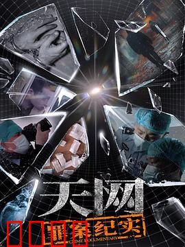 天网：罪案纪实
