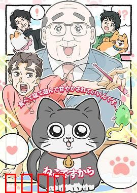 转生成猫的大叔