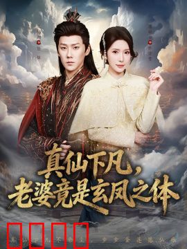 真仙下凡，老婆竟是玄凤之体
