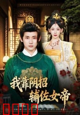 我靠阴招辅佐女帝