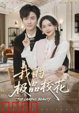 我的极品校花