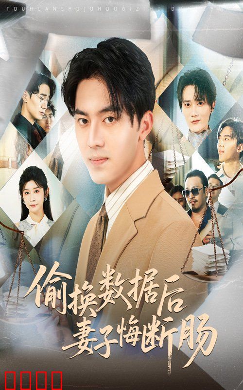 偷换数据后妻子悔断肠