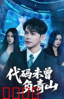 代码未曾负青山