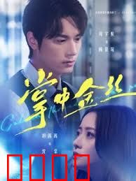 掌中金丝（长姐她竟是隐藏大佬）