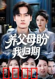 养父母盼我归期