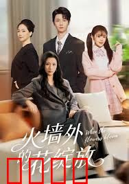 火墙外的花绽放