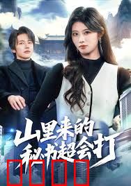 山里来的秘书超会打