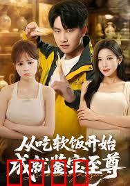 从吃软饭开始成就鉴宝至尊