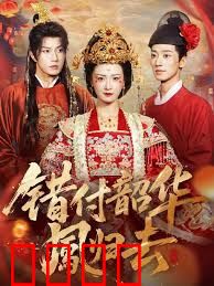 错付韶华凤归去（凤起青萍末）