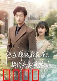 他在赚钱我在花，契约夫妻顶呱呱