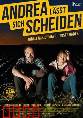 安德莉亚离婚记