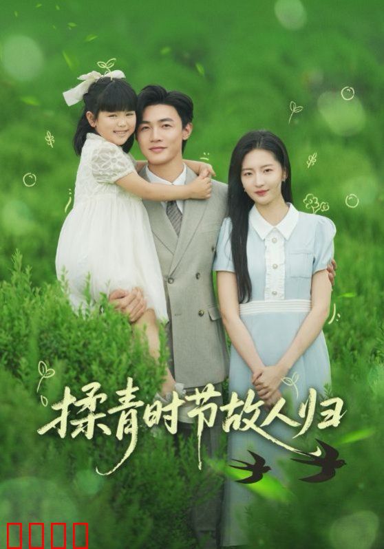 揉青时节故人归