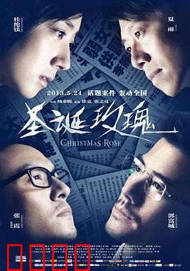 圣诞玫瑰