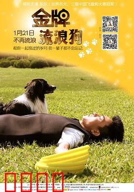 金牌流浪狗