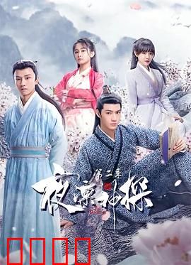 夜凛神探 第二季