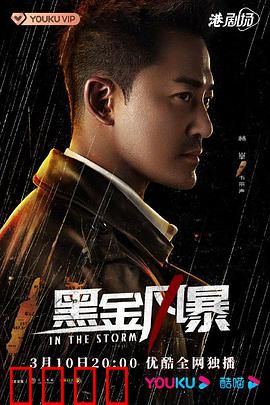 黑金风暴粤语版