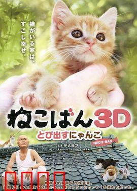 小猫跳出来3D