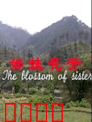 姊妹花开