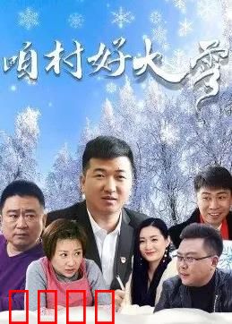 咱村好大雪