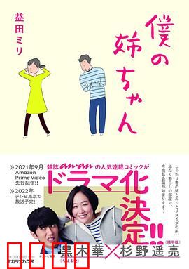 我的姐姐(日剧)