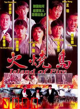 火烧岛(1991)