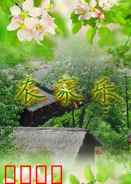 农家乐