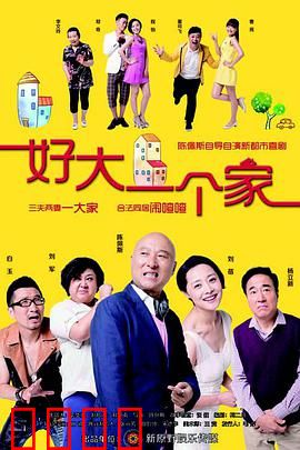 好大一个家
