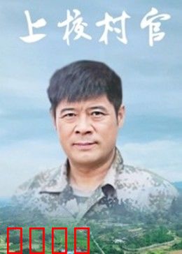上校村官