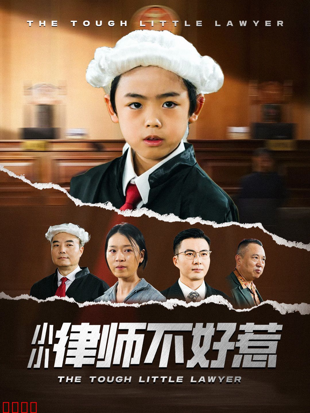 小小律师不好惹