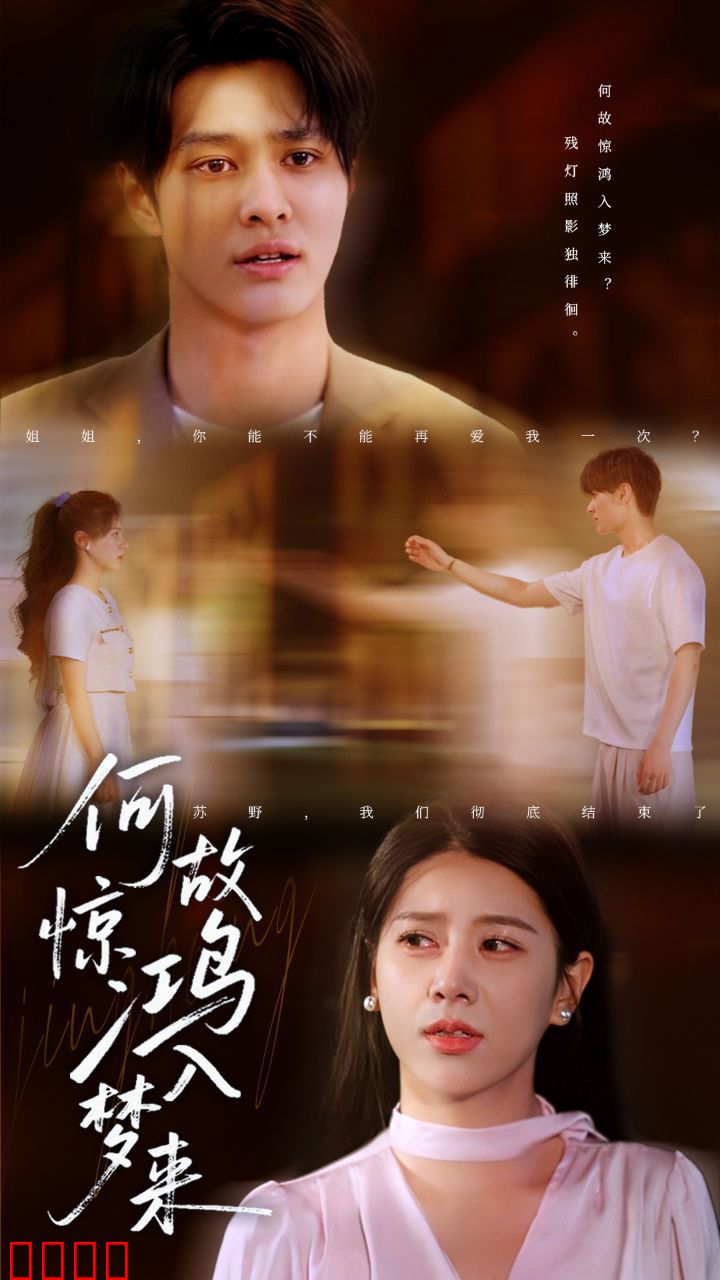 何故惊鸿入梦来