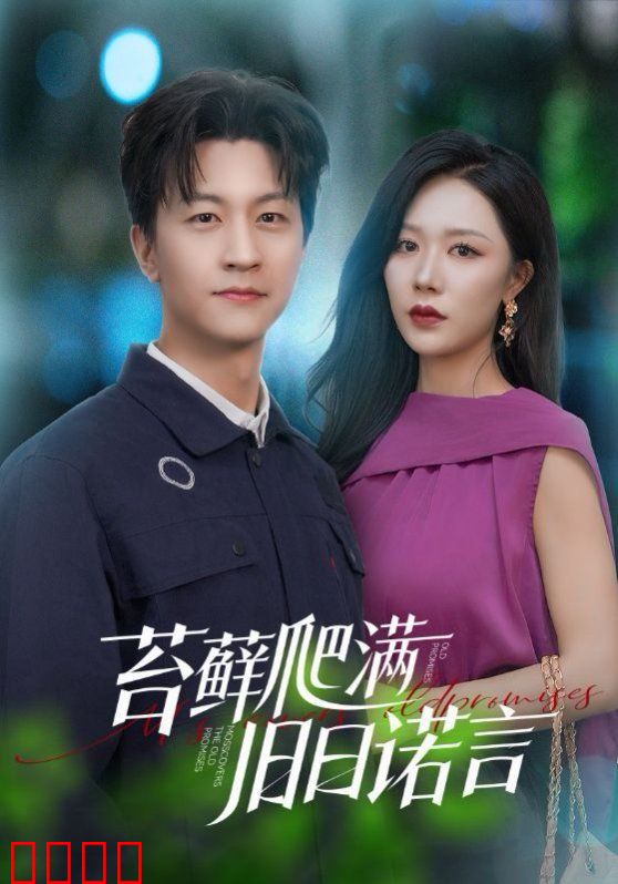 苔藓爬满旧日诺言