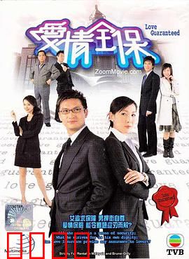 爱情全保国语版