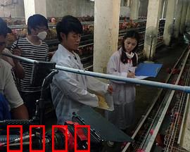 我和教授“羊粪豆”