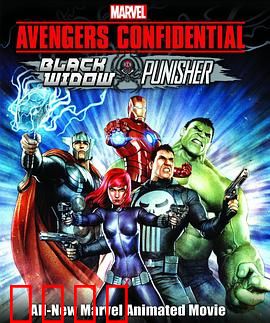 机密复仇者：黑寡妇与惩罚者