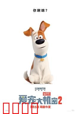 爱宠大机密2