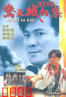 重案实录之惊天械劫案