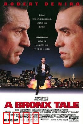 布朗克斯的故事