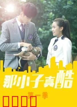 那小子真酷第二季