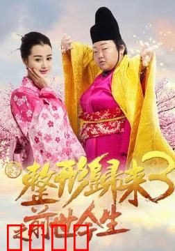 整形归来3：前世今生