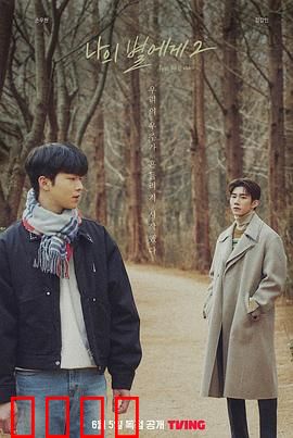 致我的星星第二季