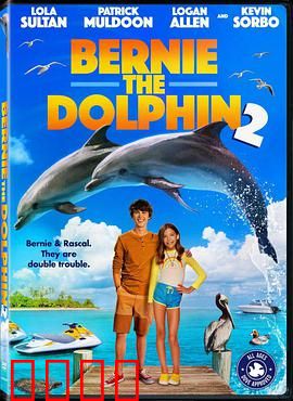 海豚伯尼2