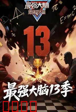 最强大脑第十三季