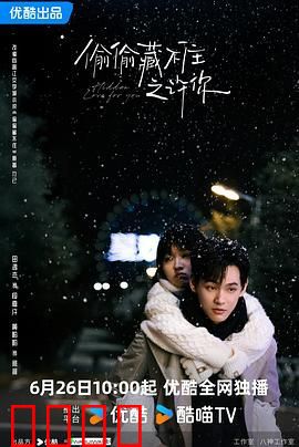 偷偷藏不住之许你